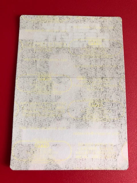 Lenny Kravitz - Baptism Tour 2004 - Backstage Pass